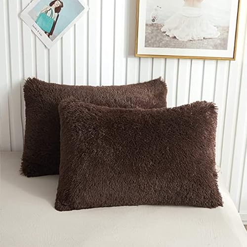 2er Set Kissenbezug 50x70cm Superweich Flauschig Kissenhülle Warm Winter Kopfkissenbezug Plüsch Langhaar Flauschig Flanell Kissenhülle (A12,50 * 70 cm) von WFBZ