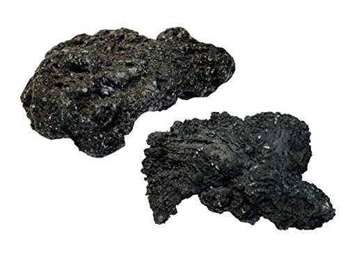1 Stück Black Lava Rock/Lava-Fels schwarz 6-8 cm *Rarität* von WFW wasserflora