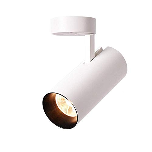 WFZRXFC 12-W-COB-LED-Aufbaustrahler, Kunstleuchten für Gemälde, Bilder, Wandstrahler, Decken-Downlight für Innenkorridor, Wohnzimmer, Foyer. Kann in Mehreren Kombinationen verwendet Werden WFZRXFC 12-W-COB-LED-Aufbaustrahler, Kunstleuchten für Gemälde, Bilder, Wandstrahler, Decken-Downlight für Innenkorridor, Wohnzimmer, Foyer. Kann in Mehreren Kombinationen verwendet Werden von WFZRXFC