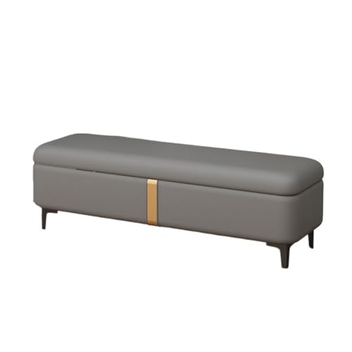 WFchenj222-6 Ottomane fürs Schlafzimmer Schuhwechselbank, leichte Luxus-Stauraumbank, Lange Sofabank, rechteckiger Hocker am Bettende, Stauraumbank(Dark Gray) von WFchenj222-6
