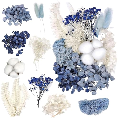 WGCHAIE Natürliche Getrocknete Blumen,DIY Gepresste Blumen, Echte Natürliche Getrocknete Gepresste Blumen, Getrocknete Blumen für Kunst DIY Harz Scrapbooking Handwerk Karten Machen WGCHAIE Natürliche Getrocknete Blumen,DIY Gepresste Blumen, Echte Natürliche Getrocknete Gepresste Blumen, Getrocknete Blumen für Kunst DIY Harz Scrapbooking Handwerk Karten Machen von WGCHAIE