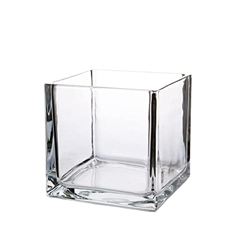 WGV Würfelglasvase, Kerzenhalter, 15,2 x 15,2 x 15,2 cm, transparent, elegant, Blumenakzent, Pflanzgefäß, Terrarium, Aufbewahrung für Hochzeit, Party, Zeremonie, Event, Büro, Heimdekoration, 1 Stück von WGVI