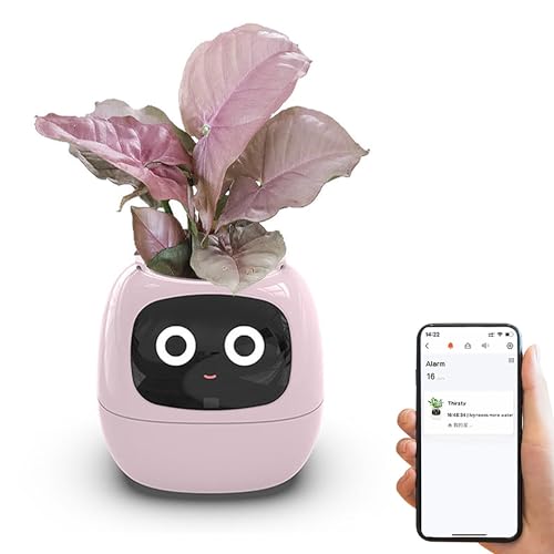 Intelligente Blumentöpfe, AI Planter, intelligenter Blumentopf, intelligente Blumentöpfe, 7 intelligente Sensoren, AI-Chips, LCD-Bildschirm, Uhrzeit, Datum, Wetteranzeige, APP-Steuerung, machen ( Colo Intelligente Blumentöpfe, AI Planter, intelligenter Blumentopf, intelligente Blumentöpfe, 7 intelligente Sensoren, AI-Chips, LCD-Bildschirm, Uhrzeit, Datum, Wetteranzeige, APP-Steuerung, machen ( Colo von WHIPIN