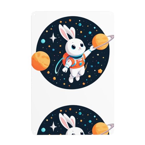 WHJDPP Raum-Hase im Universum, dekoratives Gemälde, 20,3 x 30,5 cm, aus Weißblech, verschleißfest und langlebig von WHJDPP