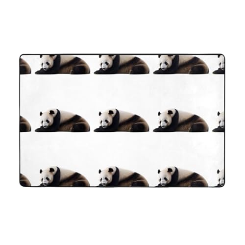 WHJWZY Carpet 152,4 x 99,1 cm – Flanell-Teppich für Wohnzimmer, Büro und mehr, freches Panda-Bild WHJWZY Carpet 152,4 x 99,1 cm – Flanell-Teppich für Wohnzimmer, Büro und mehr, freches Panda-Bild von WHJWZY
