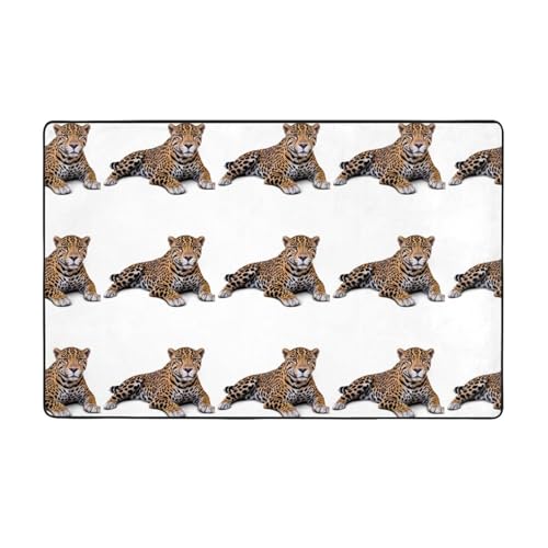 WHJWZY Carpet Flanell-Teppich für Wohnzimmer, Büro und mehr, sitzendes Leopardenmuster, 152,4 x 99,1 cm WHJWZY Carpet Flanell-Teppich für Wohnzimmer, Büro und mehr, sitzendes Leopardenmuster, 152,4 x 99,1 cm von WHJWZY