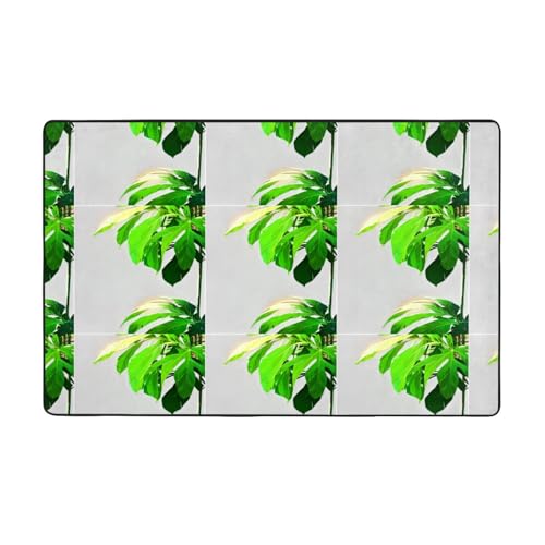 WHJWZY Teppich, Flanell-Teppich für Wohnzimmer, Büro und mehr, minimalistisches Monstera-Blatt-Bild WHJWZY Teppich, Flanell-Teppich für Wohnzimmer, Büro und mehr, minimalistisches Monstera-Blatt-Bild von WHJWZY