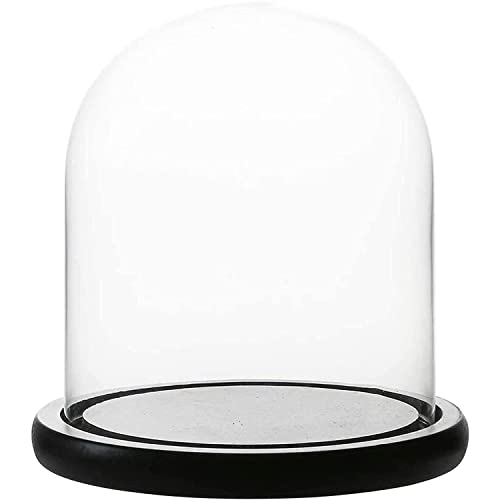 WHOLE HOUSEWARES Dekorative Vitrine mit Kuppel/Tischplatte aus klarem Glas, Glocke, Vitrine mit schwarzer MDF-Basis, Durchmesser 13 cm, Höhe 24 cm WHOLE HOUSEWARES Dekorative Vitrine mit Kuppel/Tischplatte aus klarem Glas, Glocke, Vitrine mit schwarzer MDF-Basis, Durchmesser 13 cm, Höhe 24 cm von WHOLE HOUSEWARES