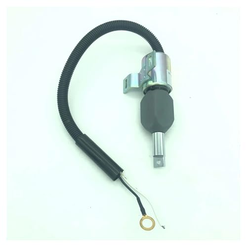 WHRLQXM Fuel Stop Solenoid Valve for 1753ES 1700-4069 12V von WHRLQXM