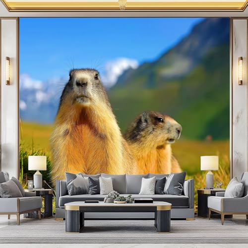 WHUOEUCO 3D Foto Tapete Alpenmurmeltier 200x140 cm Motivtapeten Wandbild Vlies Fototapete Poster Wandtapete, für Schlafzimmer Wohnzimmer TV-Hintergrund Wanddeko von WHUOEUCO