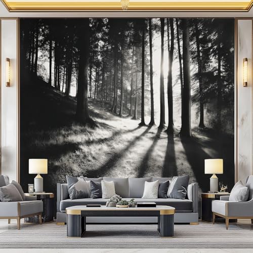 WHUOEUCO 3D Foto Tapete Landschaft Wald 300x210 cm Motivtapeten Wandbild Vlies Fototapete Poster Wandtapete, für Schlafzimmer Wohnzimmer TV-Hintergrund Wanddeko WHUOEUCO 3D Foto Tapete Landschaft Wald 300x210 cm Motivtapeten Wandbild Vlies Fototapete Poster Wandtapete, für Schlafzimmer Wohnzimmer TV-Hintergrund Wanddeko von WHUOEUCO