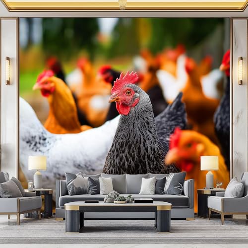 WHUOEUCO 3D Foto Tapete Tier Hahn 500x280 cm Motivtapeten Wandbild Vlies Fototapete Poster Wandtapete, für Schlafzimmer Wohnzimmer TV-Hintergrund Wanddeko von WHUOEUCO