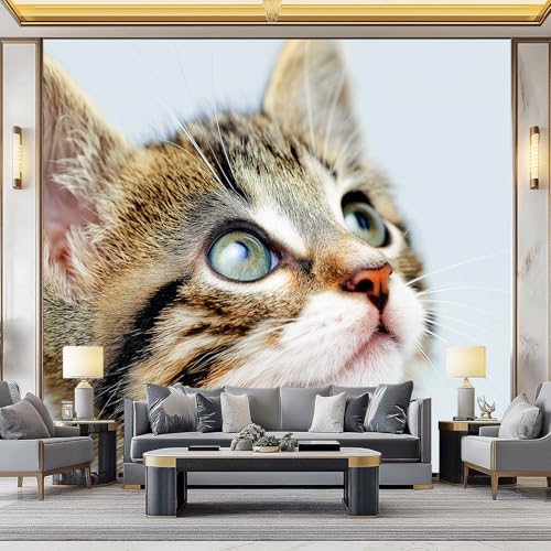 WHUOEUCO 3D Foto Tapete Tier Katze 250x175 cm Motivtapeten Wandbild Vlies Fototapete Poster Wandtapete, für Schlafzimmer Wohnzimmer TV-Hintergrund Wanddeko WHUOEUCO 3D Foto Tapete Tier Katze 250x175 cm Motivtapeten Wandbild Vlies Fototapete Poster Wandtapete, für Schlafzimmer Wohnzimmer TV-Hintergrund Wanddeko von WHUOEUCO