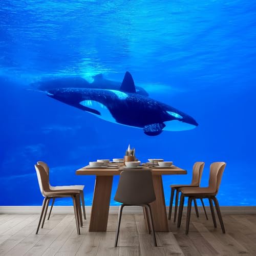 WHUOEUCO Vlies Fototapete Killerwal Im Blauen Ozean 400x280 cm Wandbilder Tapete Art Fototapete, 3D Effekt Wandtapete für Wohnzimmer, Schlafzimmer, Büro, Küche, Kinderzimmer von WHUOEUCO