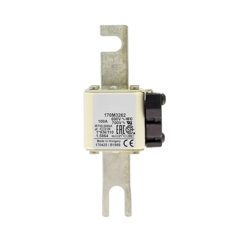 170M3262 170M3263 170M3264 170M3265 170M3266 170M3267 170M3268 170M3269 170M3270 170M3271 170M3272 170M3273 Sicherung 1 Stück(170M3269) von WHVAVFQI