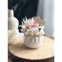 Trockenblumengesteck Creme-Rostrot L Abstrakter Raysin Blumentopf Lpersonalisiertes Geschenk Weiße Schale Aus Beton Lgeldgeschenk Hochzeit von WIESENWUNDER