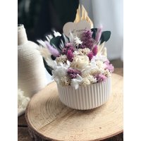 Trockenblumengesteck Flieder - Creme/Geriffelter Raysin Blumentopf Geschenkidee Muttertag/ Weiße Schale Aus Beton Hochzeit von WIESENWUNDER