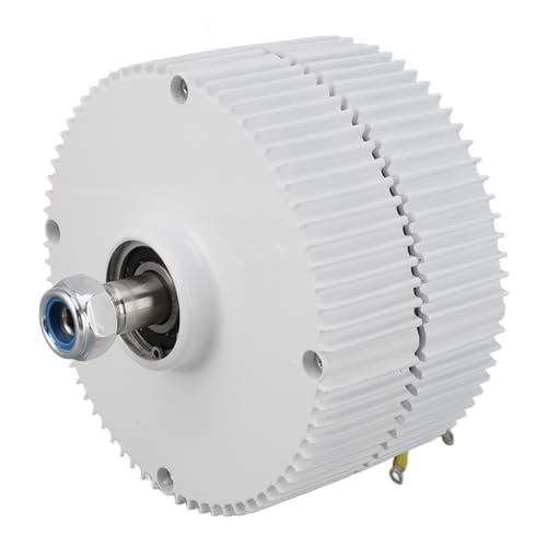 Permanent Magnet Synchronmotor 3 - Phas Wechselstrom Generator 400W 12V, Duale Welle, Aluminiumlegierung - Energieeffizient, Langlebig, Für Vertikale Und Horizontale Windkraftanl (Typ 2) von WIHFHGZ
