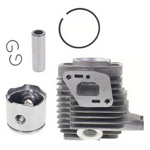 WIIYENA Zylinderkolben Kit für GT-225 SRM-225 PE-225 SHC-225 Rasentrimmer Kompatibel mit A130002100 Ersatzteilen, 6-teilige Komplettmontage WIIYENA Zylinderkolben Kit für GT-225 SRM-225 PE-225 SHC-225 Rasentrimmer Kompatibel mit A130002100 Ersatzteilen, 6-teilige Komplettmontage von WIIYENA
