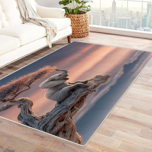 WIKEO Strand Kurzflor Teppich waschbar Niedliches Elefantenmuster pflegeleicht und robust fürs Wohnzimmer, Schlafzimmer und Kinderzimmer Badematte angenehm weich(Rosa-9)-240x300cm von WIKEO