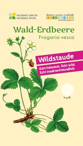 Wald-Erdbeere | Fragaria vesca in BIO-Qualität (torffrei), im 0,69L Topf, heimische Wildpflanze (wie sie ursprünglich in der Natur vorkommt), liebevolle Handarbeit aus dem Westerwald (5er Set) von WILDBLUMENWELT
