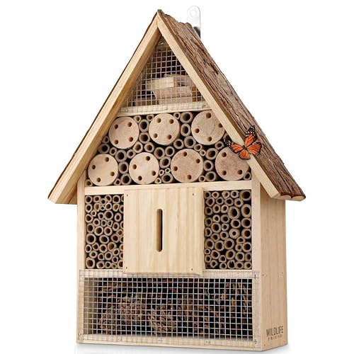 WILDLIFE FRIEND Großes Wildbienenhotel mit Rindendach - Wetterfestes Insektenhotel aus Naturholz zum Aufhängen - Nisthilfe und Bienen Hotel für Garten und Balkon WILDLIFE FRIEND Großes Wildbienenhotel mit Rindendach - Wetterfestes Insektenhotel aus Naturholz zum Aufhängen - Nisthilfe und Bienen Hotel für Garten und Balkon von WILDLIFE FRIEND