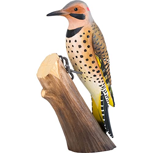 WILDLIFEGARDEN Wildlife Garden WG4677 DecoBird Goldspecht - Handgeschnitzter Dekorative Vogel aus Holz - Nordamerikanische Vögel von WILDLIFEGARDEN