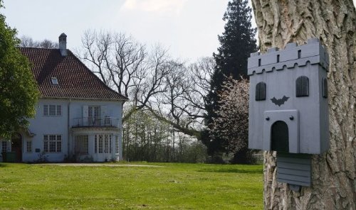 Wildlife Garden - Fledermausburg (WG306) - Fledermausnest/Fledermauskasten aus Holz von WILDLIFEGARDEN