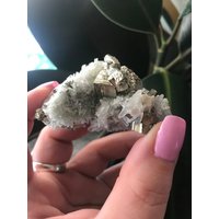 Chlorit Und Pyrit-Cluster Chlorit Und Pyrit-Cluster von WILDLYintentional