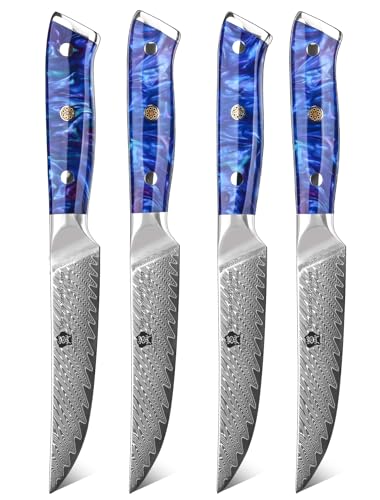 WILDMOK Steakmesser, 12,7 cm, nicht gezackte Steakmesser Set von 4, japanische Damaskus VG10 Stahl Steakmesser, Premium Steakmesser Set mit Geschenkbox von WILDMOK