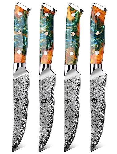 WILDMOK Steakmesser, 13 cm, nicht gezackte Steakmesser Set von 4, japanische Damaskus VG10 Stahl Steakmesser,Küchenmesser-Set mit Geschenkbox WILDMOK Steakmesser, 13 cm, nicht gezackte Steakmesser Set von 4, japanische Damaskus VG10 Stahl Steakmesser,Küchenmesser-Set mit Geschenkbox von WILDMOK