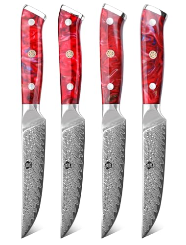 WILDMOK Steakmesser-Set mit 4 Damaststahl-Steakmessern 12,7cm, ultrascharf, gezahntes Steakmesser-Set mit Harzgriff, Küchenmesser-Set mit Geschenkbox von WILDMOK