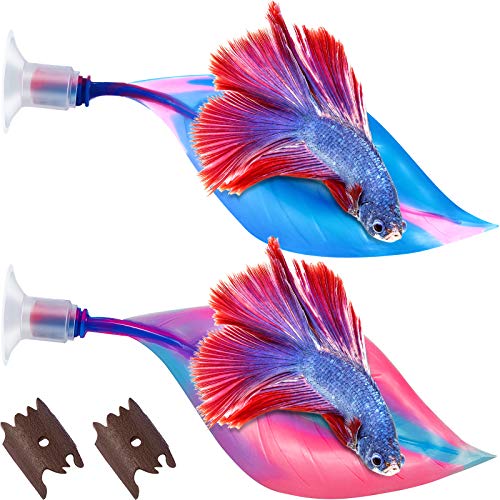 WILLBOND 2 Stücke Silikon Betta Bett Blatt Hängematte für Betta Fisch, Betta Fischbett, Praktischer Ruheplatz, Kein BPA, Bequem und Sicher (Blau, Rosa) von WILLBOND