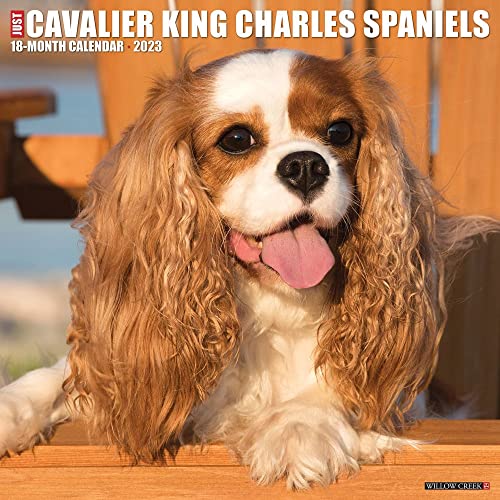 Just Cavalier King Charles Spaniels 2023 Wall Calendar Just Cavalier King Charles Spaniels 2023 Wall Calendar von WILLOW CREEK
