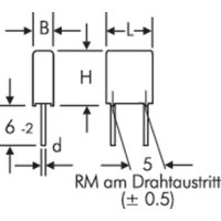 Wima MKS2F031001E00KSSD MKS-Folienkondensator radial bedrahtet 0.1 µF 250 V/DC 20% 5mm (L x B x H) von WIMA