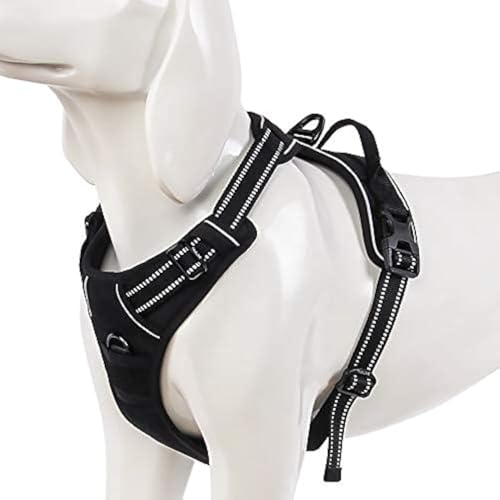 WINHYEPET Truelove Hundegeschirr No-Pull Reflektierendes verstellbar Haustiergeschirr mit 2 Leinenclips, einfachem Steuergriff für kleine, zum mittelgroße und große Hunde, TLH5651 WINHYEPET Truelove Hundegeschirr No-Pull Reflektierendes verstellbar Haustiergeschirr mit 2 Leinenclips, einfachem Steuergriff für kleine, zum mittelgroße und große Hunde, TLH5651 von WINHYEPET