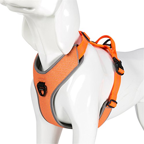 WINHYE PET Truelove Hundegeschirr Reflektierend für kleine mittelgroße Hunde, Pet Vest Quick Fit Release Adjustbale zum Laufen Gehen Gepolsterte Soft Mesh Hunde Easy Control Pets TLH6071 (Orange, M) von WINHYEPET