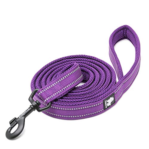 WINHYEPET Dog Leash Nylon Reflective Comfortable Handle Lead Puppy Training Walking Rope Easy Control Suitable Small Medium Large Breeds 110cm Length WHPEU32111 (Purple, XS) von WINHYEPET