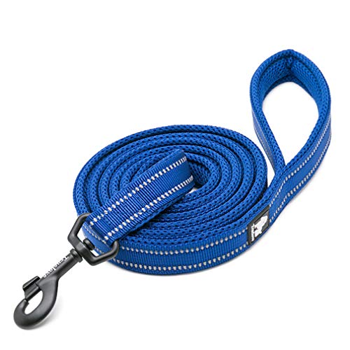 WINHYEPET Dog Leash Nylon Reflective Comfortable Handle Lead Puppy Training Walking Rope Easy Control Suitable Small Medium Large Breeds 110cm Length WHPEU32111 (Royal Blue, L) von WINHYEPET