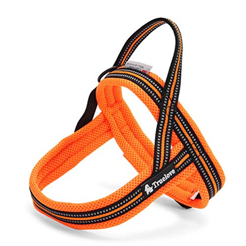 WINHYEPET True Love Hundegeschirr Nylon Band Komfortable Innere Sicherheit Reflektierende Streifen Bequem Einstellbare Einfache Kontrolle Haustier Hund Weste, TLH5811 von WINHYEPET