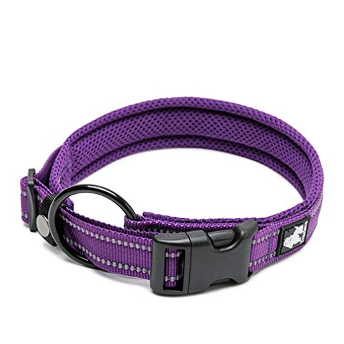 WINHYEPET True Love Hundehalsband Reflektierendes Sandwichfutter NylonWebbing Bequeme und sichere verstellbare Schnalle Praktisch für Outdoor-Sportarten für kleine/mittlere/große Halsringe TLC5011 von WINHYEPET