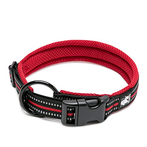 WINHYEPET True Love Hundehalsband Reflektierendes Sandwichfutter NylonWebbing Bequeme und sichere verstellbare Schnalle Praktisch für Outdoor-Sportarten für kleine/mittlere/große Halsringe TLC5011 von WINHYEPET