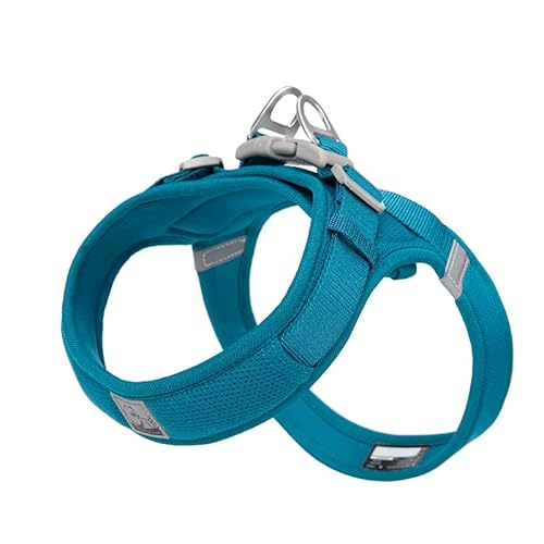 WINHYEPET Truelove Hundegeschirr weiches Mesh reflektierend atmungsaktiv Schritt-in Hundegeschirr, Easy Walk Geschirr, Weste Geschirr TLH3013 von WINHYEPET