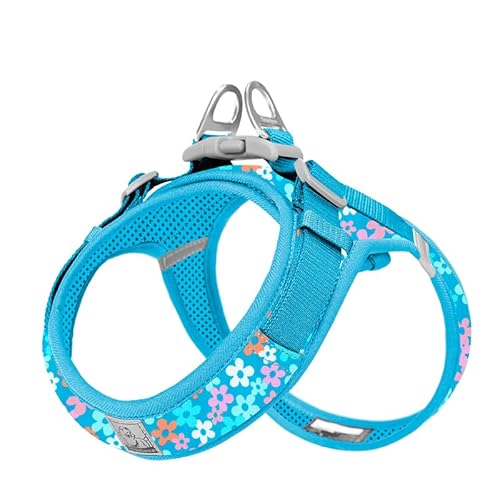 WINHYEPET Truelove Hundegeschirr, weiches Netzgewebe, reflektierend, atmungsaktiv, Step-in-Hundegeschirr, leicht zu Fuß mit Sicherheitsschnalle für extra kleine und kleine Hunde, Westengeschirr von WINHYEPET