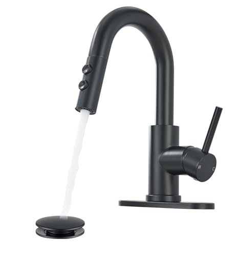 Mattschwarze Badezimmer-Armaturen mit herausziehbarem Sprüher, Einloch-Edelstahl-Wasserhahn von WINKEAR