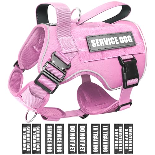 WINSEE Taktisches Hundegeschirr für mittelgroße Hunde, robuste Molle-Weste mit 10 Haustier-Patches, 2 x Metallschnallenweste für Training, Jagd, Spazierengehen WINSEE Taktisches Hundegeschirr für mittelgroße Hunde, robuste Molle-Weste mit 10 Haustier-Patches, 2 x Metallschnallenweste für Training, Jagd, Spazierengehen von WINSEE