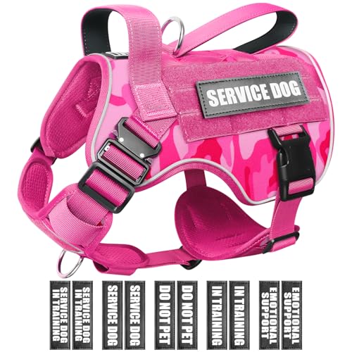 WINSEE Taktisches Hundegeschirr für mittelgroße Hunde, robuste Molle-Weste mit 10 Haustier-Patches, 2 x Metallschnallenweste für Training, Jagd, Spazierengehen WINSEE Taktisches Hundegeschirr für mittelgroße Hunde, robuste Molle-Weste mit 10 Haustier-Patches, 2 x Metallschnallenweste für Training, Jagd, Spazierengehen von WINSEE