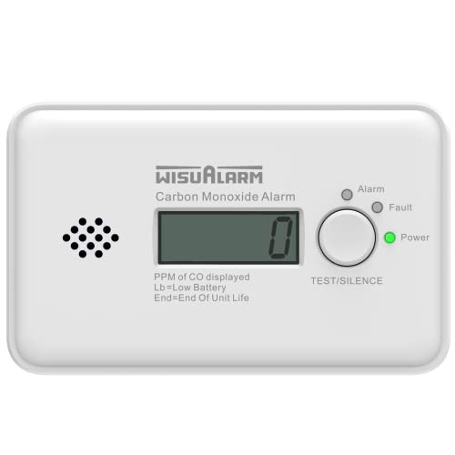 Kohlenmonoxid Melder,10 Jahre Batterie, CO Melder, Kohlenmonoxid Melder Testsieger, CO Warner mit LCD Display und Test/Silence Taste, TÜV Zertifiziert nach EN 50291 von WISUALARM