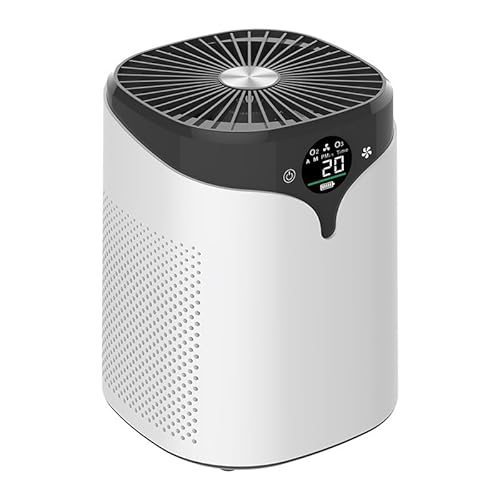 【WITFAMILY Luftreiniger 2.0 PRO HEPA H13】Luftreiniger für Allergiker bis 45m², Leiser Luftfilter gegen Feinstaub PM2.5, Tierhaare, Pollen, Rauch und Gerüche mit Schlafmodus, Weiß von WITFAMILY