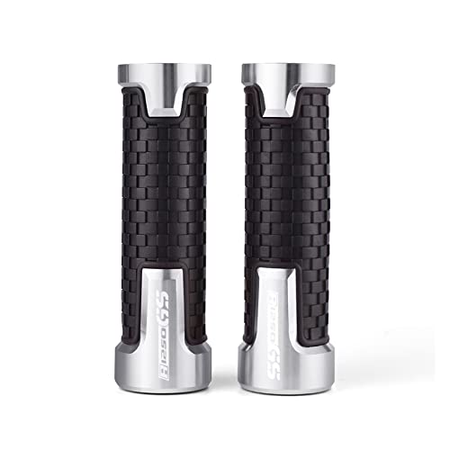 Griff CNC Motorrad Lenker Lenkergriff Für BMW R1250 GS R 1250 GS R 1250GS HP 2018 2019 2020 2021 Motorzubehör Lenkerabdeckung(Silver) von WITTYL